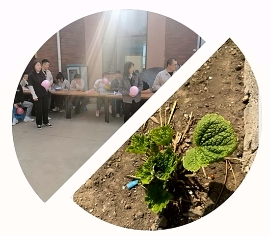 1680742795129391.jpg 图片1_副本.jpg